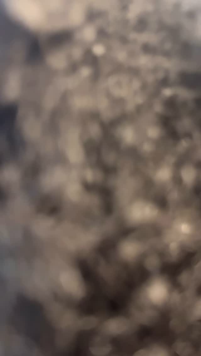 Thank You For Trusting Me With Your Hair!!
*
*
*
*
*
*
#WithTheseHands #ColorGirl  #LicensedCosmetologists #CelebrityStylists #CelebrityBraider #HealthyHair #NaturalHair #Braids #KidsBraids #Layers #Microlinks #TribalBraids #FeedInBraids #PassionTwist #KnotlessBraids #Feeders #TapeIns #SmallFeeders #TrimmedEnds #Curls4TheGirls #IndyBraider #IndyStylist #TravelingStylist #ChicagoStylists #NashvilleStylists #ClosureSewin #FrontalSewin #TraditionalSewin #Licensed2Slay #BookME.