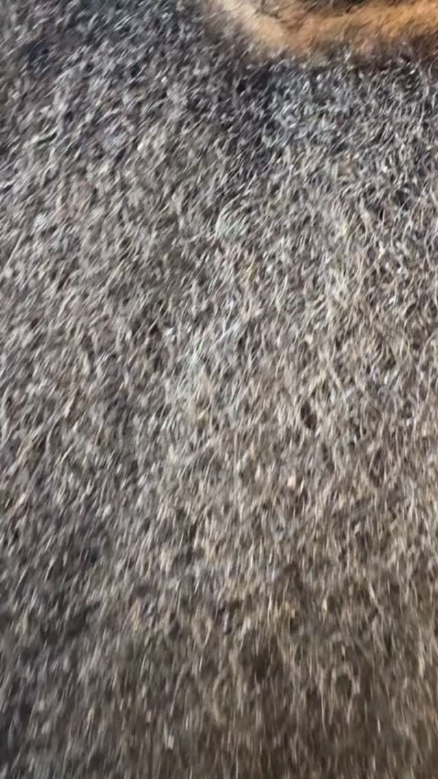 Thank You For Trusting Me With Your Hair!!
*
*
*
*
*
*
#ColorGirl #IndyStylist #HealthyHair #BookME.